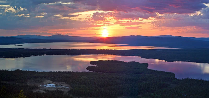 tomas utsi midnight sun 4102