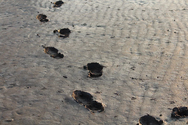 footprints 284708 1280