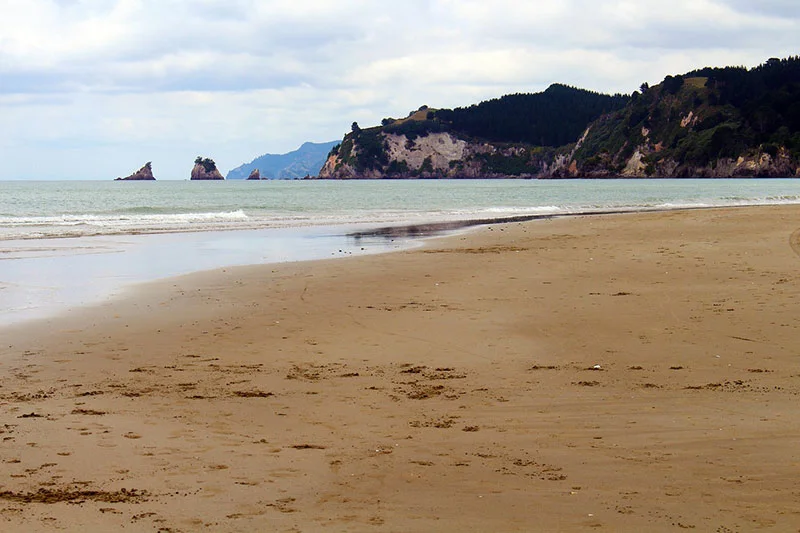 new zealand beach 1623826 1280