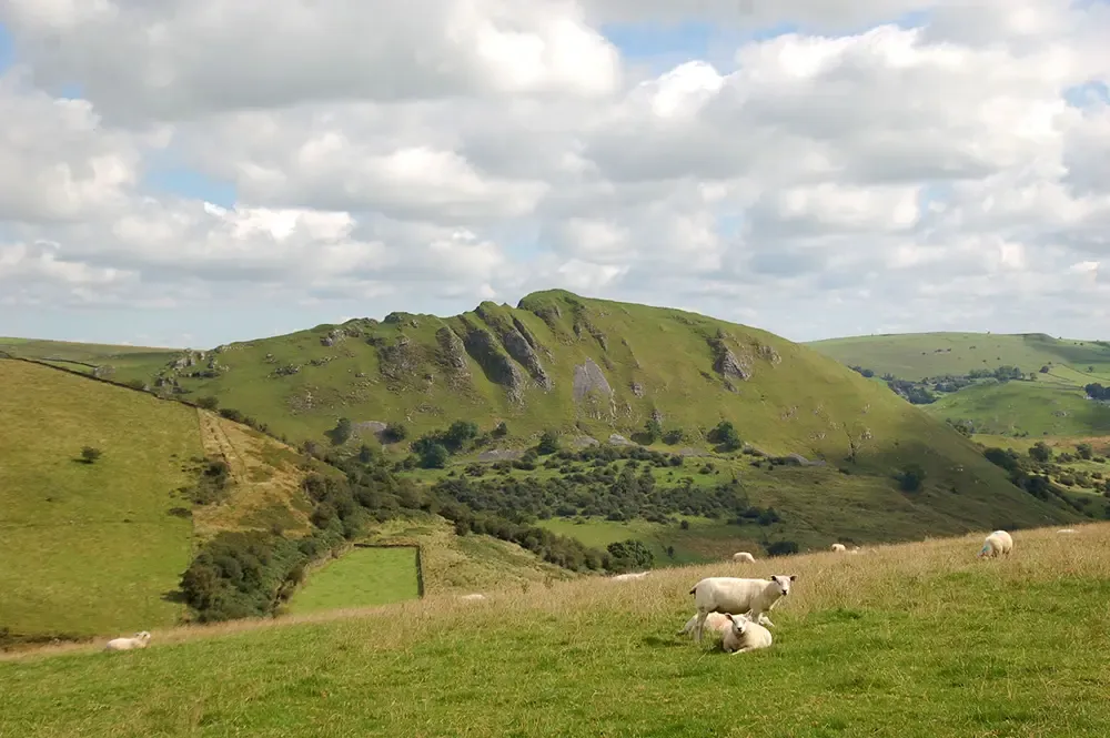Chrome Hill