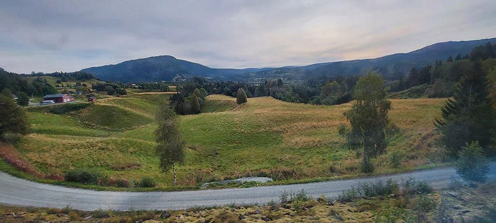 Norwegian grassland