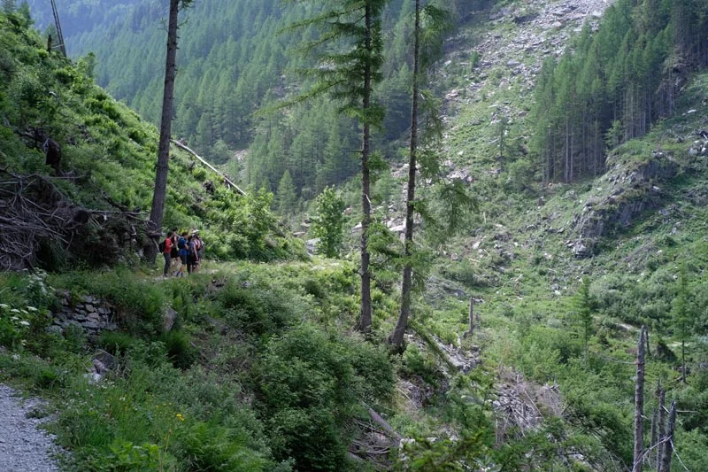 UTMB view 3