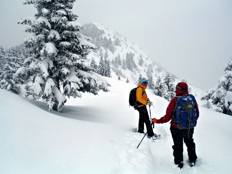 Snow shoeing around Les Houches
