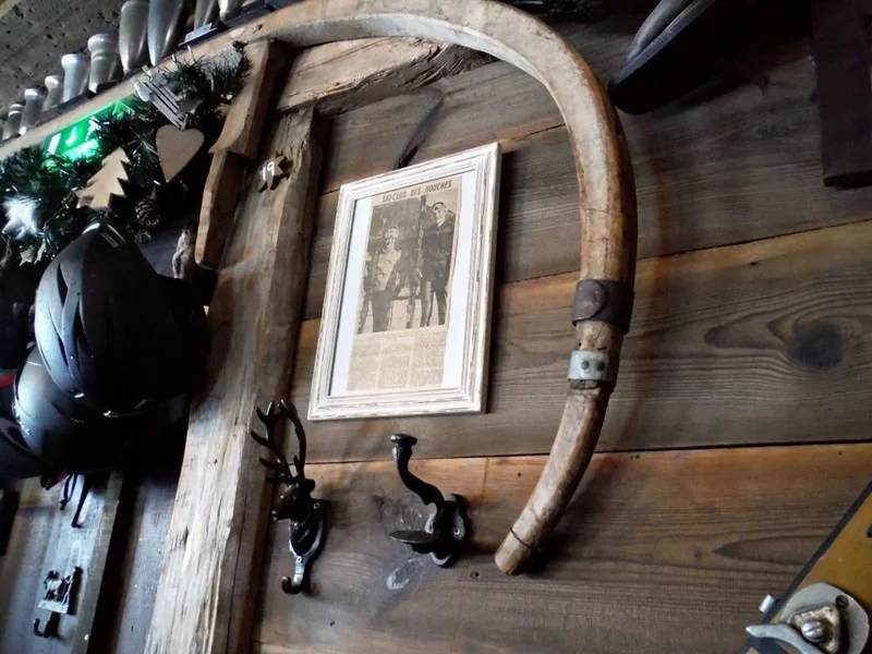 The alpine interior