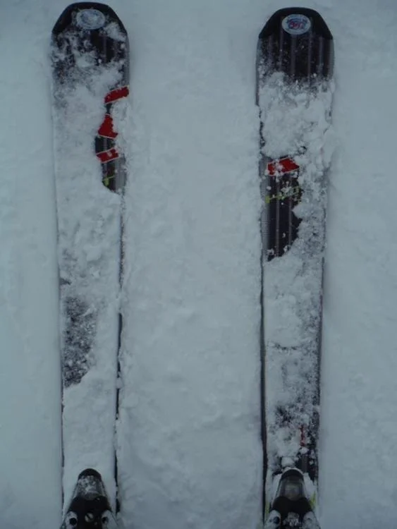 The planks