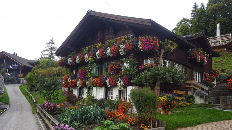 Via Alpina Hike 12