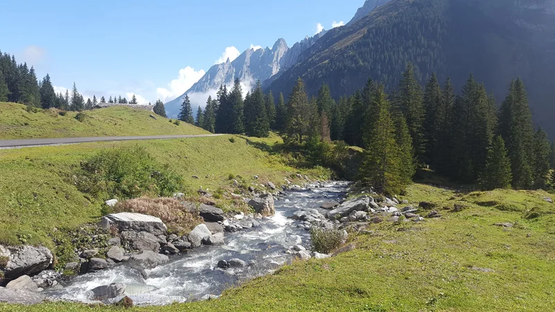Via Alpina Hike 19