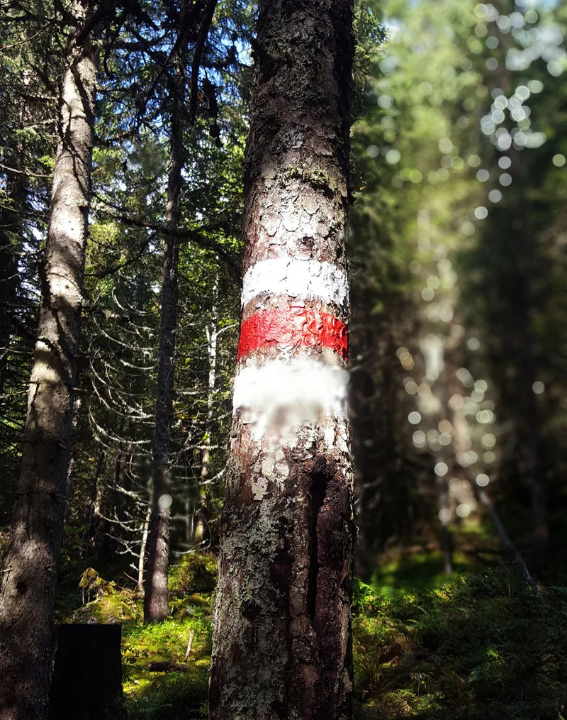 Via Alpina Hike 2