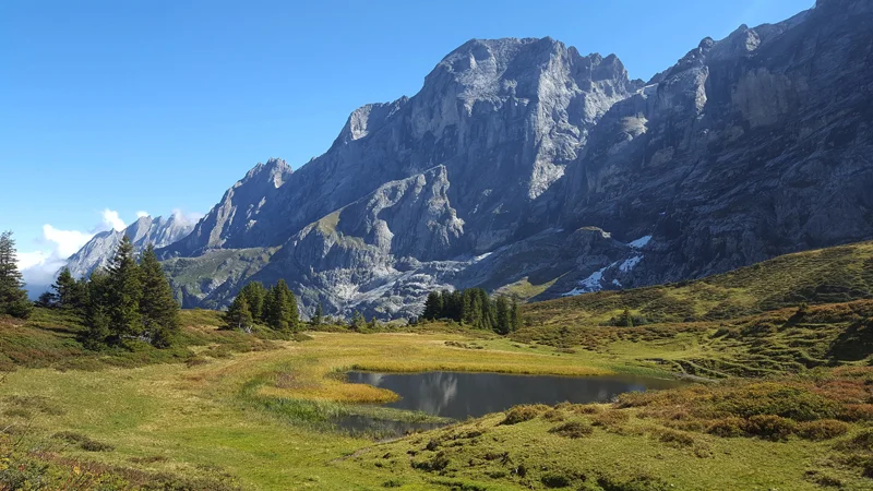 Via Alpina Hike 6