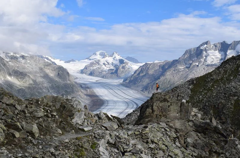 Views of the Aletsch Glacier from near Eggishorn 2 web