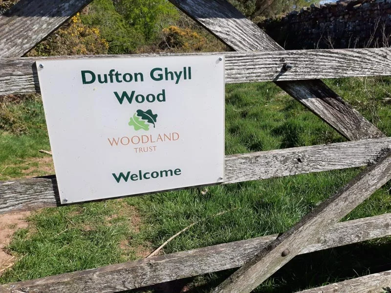 Dufton Ghyll Wood