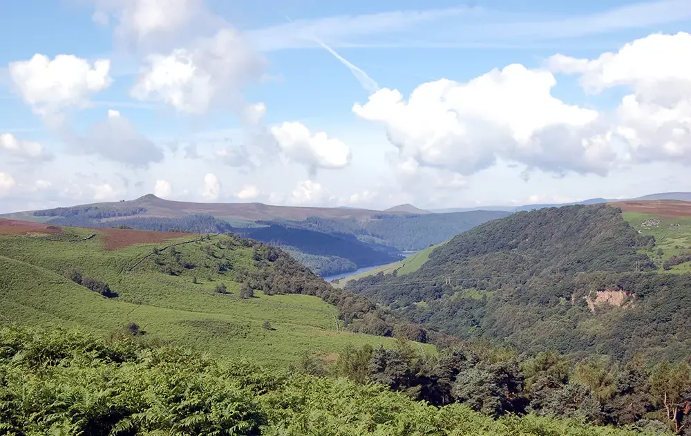 Derwent Dams