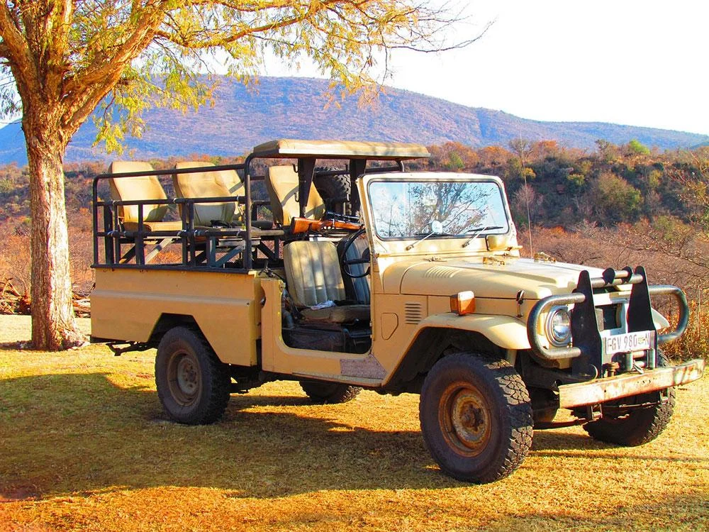 safari