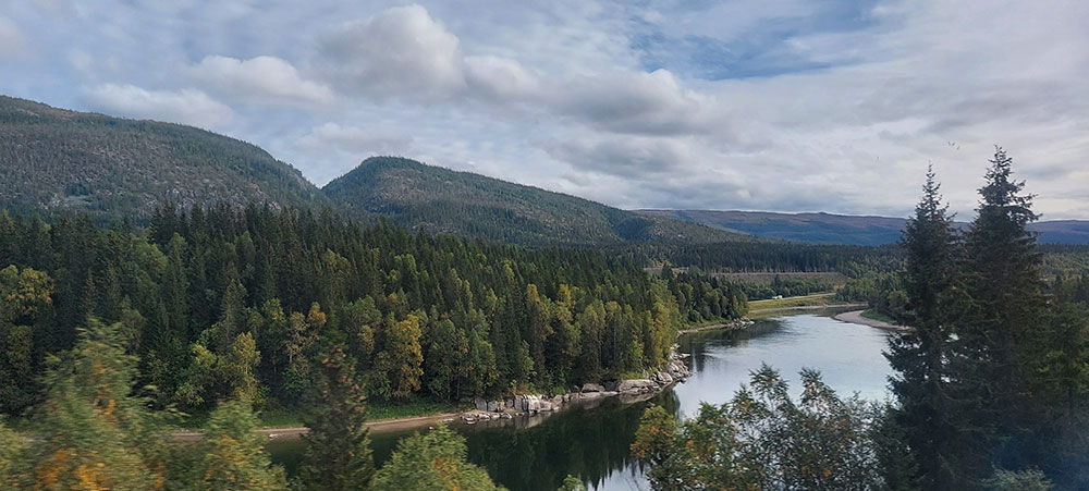 Norwegian forests