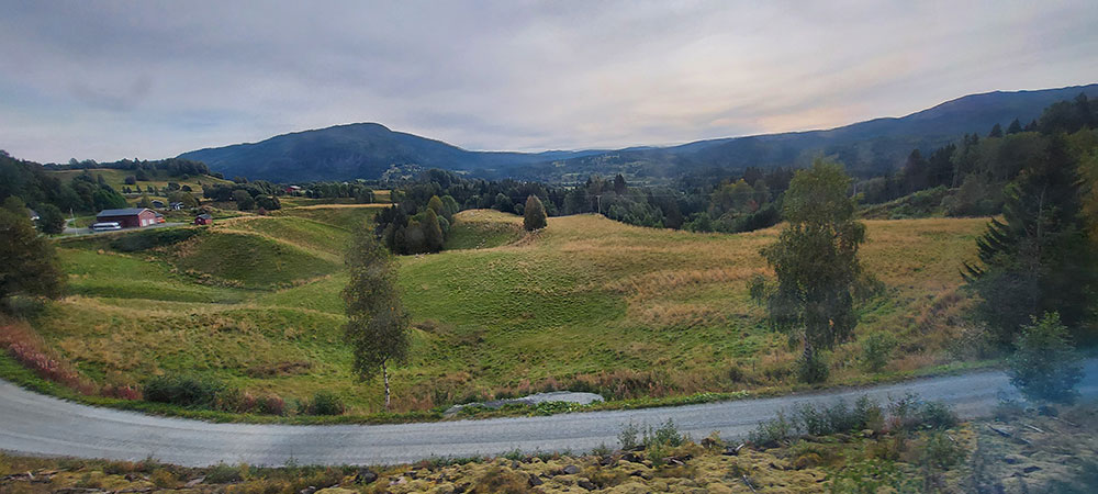 Norwegian grassland