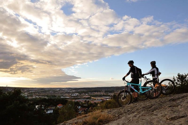 Choosing the right mountain bike - the basics
